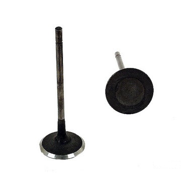 INTAKE VALVE  AJ810945