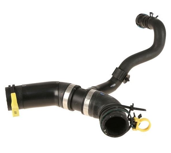 Jagbits Jaguar Parts: RADIATOR HOSE UPPER C2Z3452