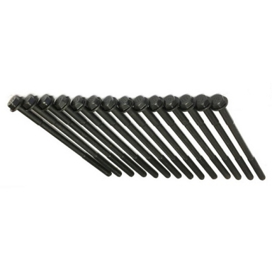 HEAD BOLTS SET OF 14  EBC1771