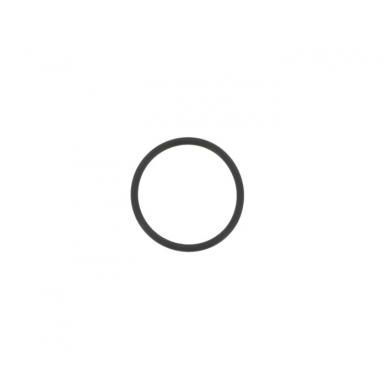 Distributor O-Ring 6 Cyl Engine  513682J