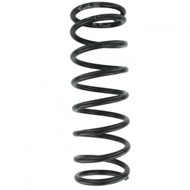 Rear Coil Spring, Sold Individually  C2S20845