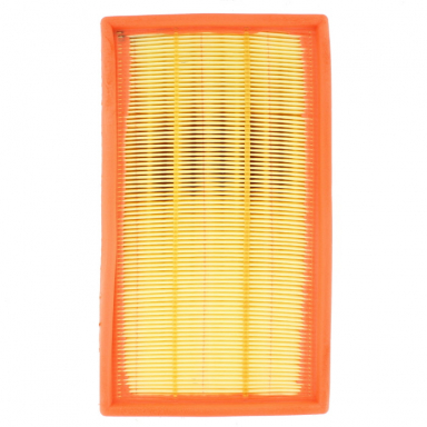 AIR FILTER ELEMENT PACK OF TWO  C2Z15037