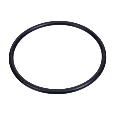 Fuel Filler Neck O-Ring  C46161