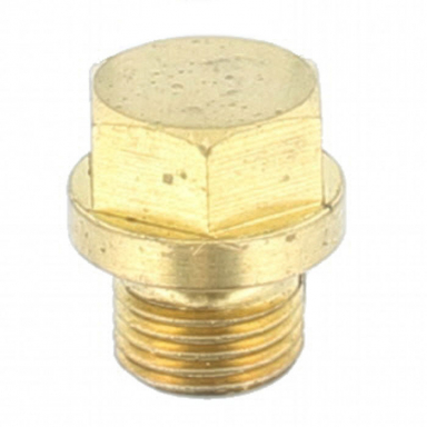 Brass Plug In Radiator  CAC4723