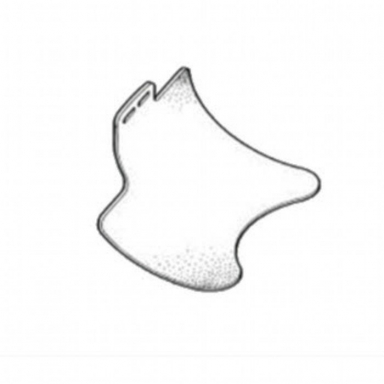 Water Deflector Above Transmission  HJB3770AA