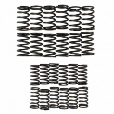Valve Spring Set  VSP480P