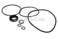 POWER STEERING PUMP SEAL KIT  AEU2787