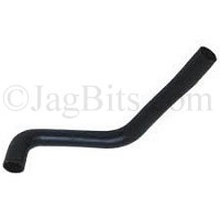 RADIATOR COOLANT HOSE LOWER  C2N1173