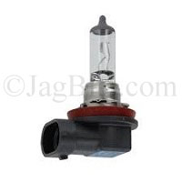 FOG LAMP BULB  C2S42389