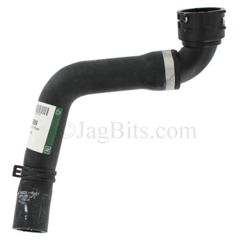 RADIATOR HOSE, LOWER  C2S5369