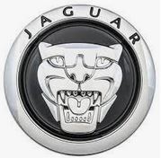 GRILLE BADGE  C2Z31124