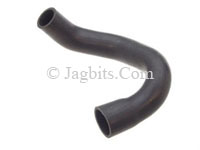 RADIATOR HOSE, LOWER  C41102