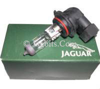 HEADLAMP HALOGEN LOW BEAM, FOG LAMP BULB  DBC11313