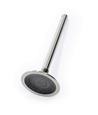 INTAKE VALVE  EAC1547