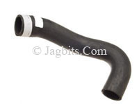 RADIATOR COOLANT HOSE LOWER RIGHT  C41097