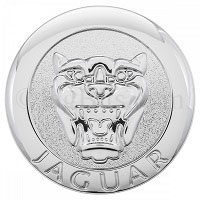 EMBLEM ON GRILL, ROUND CAT FACE BADGE xr851456